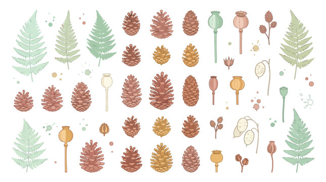 Winter holiday vector pinecones pine trees ornaments collection.