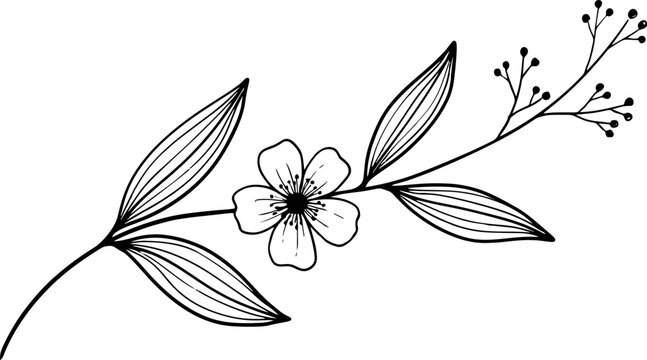 Minimalist hand-drawn botanical illustration of a single flower branch with leaves and buds, elegant line art for image_3381fa.jpg design.