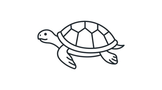 green turtle isolated on white
