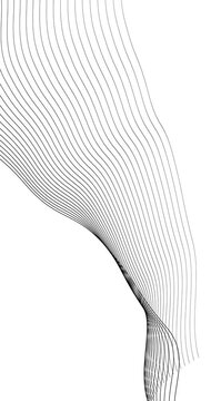 Curve wave seamless pattern. Thin line wavy abstract vector background. Curve wave seamless pattern. Line art striped graphic template. wave abstract lines stream 4K background loop