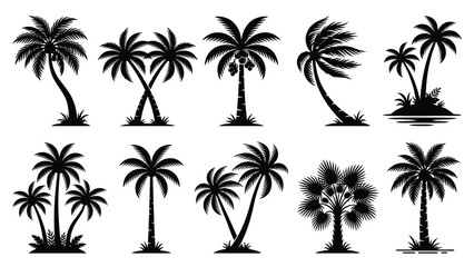 Fototapeta premium Silhouette collection of various palm trees on transparent background.