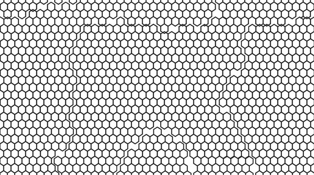 A close-up of a honeycomb pattern.