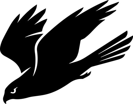 black sparrowhawk flying in the air