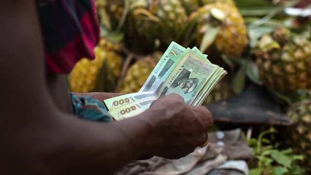 Madhupur, Bangladesh - 01 June 2026: View of a person's hands counting a stack of Bangladeshi Taka banknotes with pineapples in the background.