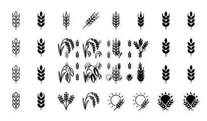 Collection of black linear wheat rye and grain stalk illustrations for rustic design projects © Hacar