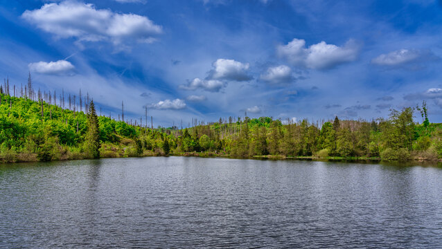 Polstertaler Teich im Oberharz