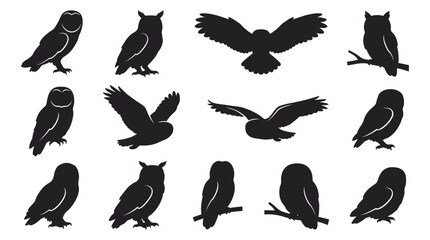 Fototapeta premium Collection Of Owl Silhouettes In Various Poses Black Silhouette