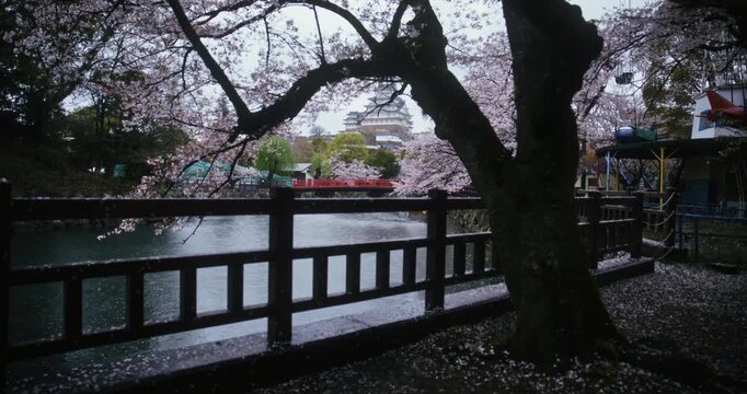 Rain storm over river leading to ancient Japanese castle as spring cherry blossom petals fall - slow, steady cam shot
