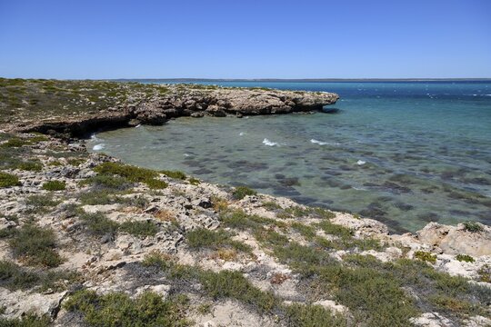 Landscape on Dirk Hartog Island, Dirk Hartog Island National Park, named after the Dutch navigator of the same name, Shire of Shark Bay, State of Western Australia, Australia