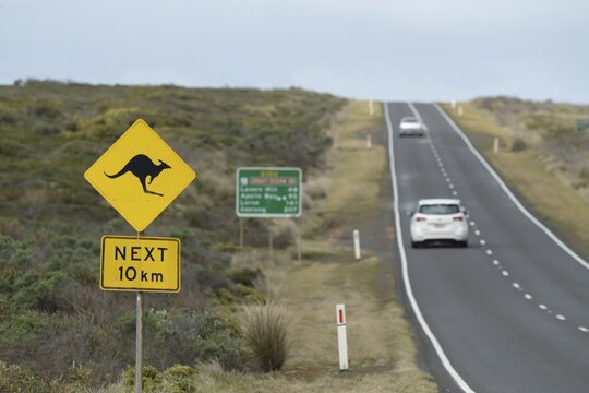 Road sign warning of Kangaroo's on the Great Ocean road, Victoria, Australia