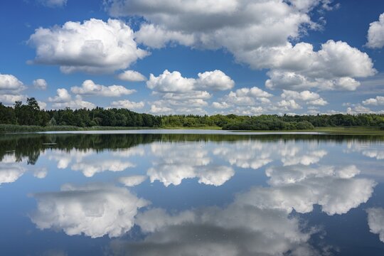 Cumulus clouds over Ahlhorn fish ponds, Ahlhorn, Lower Saxony, Germany