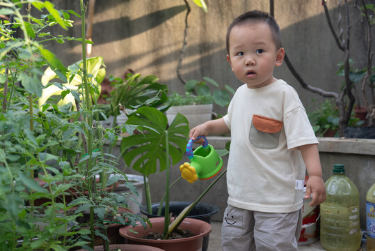Young Asian boy watering plants in home courtyard