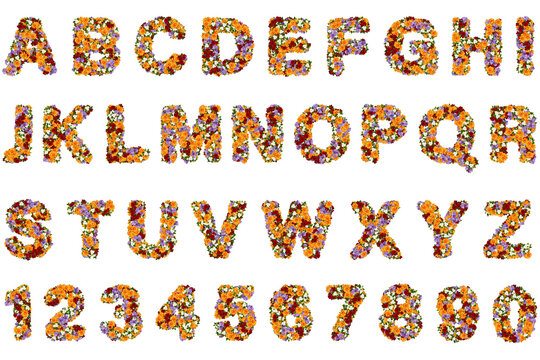 Colorful alphabet letters with numbers grid