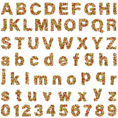 Fototapeta premium Colorful alphabet letters set with numbers isolated on transparent background