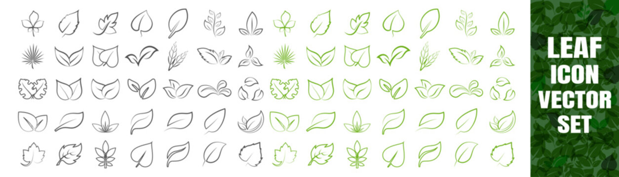 Leaf icon vector set with simple outline and black and green stylized foliage on transparent background