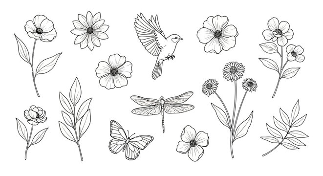 Hand-drawn floral elements, bird, butterfly, and dragonfly sketch illustration