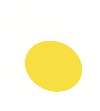 yellow egg 달걀
