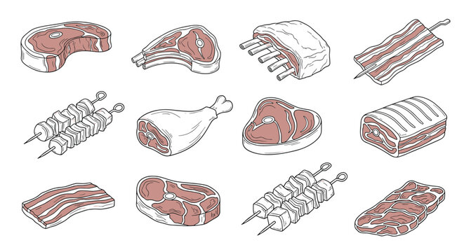 Set of culinary meat sketches featuring different cuts such as ribeye steak pork chops lamb ribs kebabs and bacon strips.