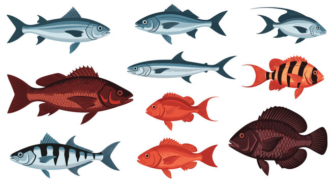 Detailed collection of various saltwater and freshwater fish species in different sizes, shapes, and colors.