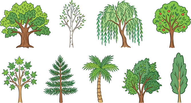 Hand Drawn Tree Vector Set with Oak, Birch, Willow, Palm, Pine, and Apple Trees for Nature and Environment Designs
