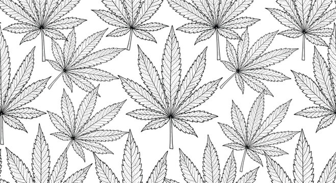 Dense pattern of detailed cannabis or marijuana leaves in a black and white engraving style on a plain background.