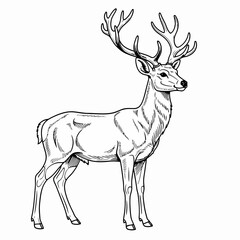 deer vector illustration © Nipon
