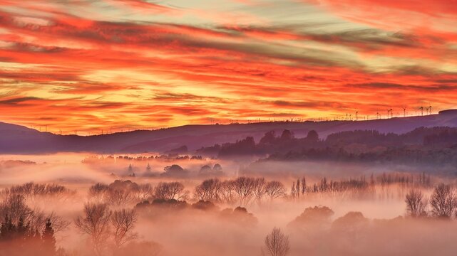 Wonderful Morning mist Landscape in The Manawatu New Zealand