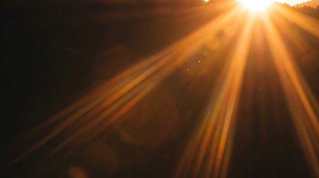 Golden Hour Sunbeam Flare with Lens Effect