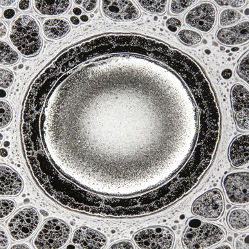 Original TEM micrograph of large lipid droplet in white adipocyte, characteristic single membrane bound electron lucent content, natural osmium staining contrast, cell biology organelle