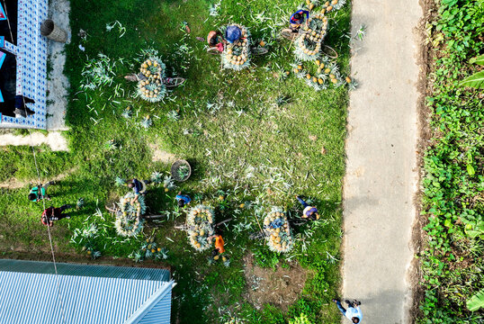 Tangail, Bangladesh - 05 August 2022: Aerial view of workers loading fresh pineapples onto bicycles in a grassy field next to a rural building and a dirt path.
