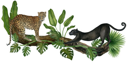 Watercolor leopard and panther on a tree with leaves, plants. Wild animals and tropical foliage isolated on a transparent background.Hand drawn illustration of a wild cat for textile design, wallpaper © Olga
