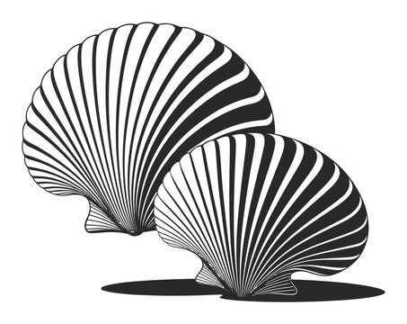 Stylized Black and White Scallop Shells with Shadow