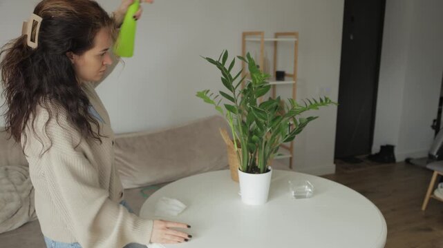 Young woman cleaning table and spraying houseplant