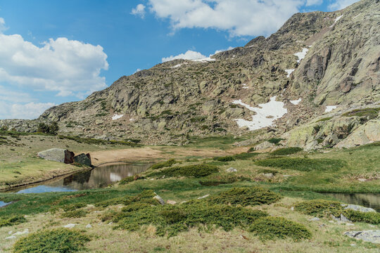 Rugged alpine meadow with a pond and rocky mountainside
