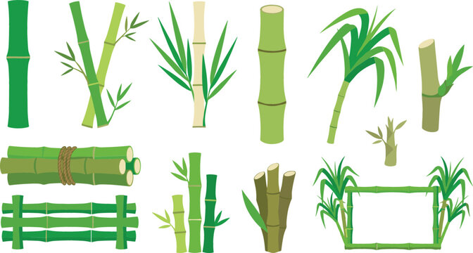 Green bamboo and sugarcane vector elements collection featuring stalks fence bundles and a decorative rectangular frame for tropical nature design layouts