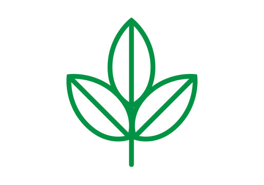 Grupo de hojas verdes con contorno