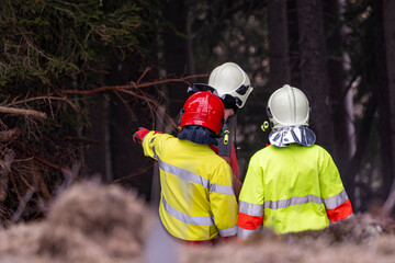 Fire crew briefing during wildfire preparedness training in alpine forest, Firefighters conducting a crew briefing and operational planning exercise during wildfire preparedness training in a conifer  © Pascal