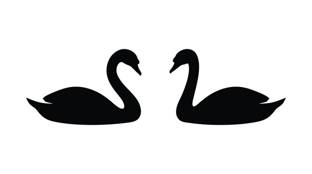 Two swans facing each other black silhouette