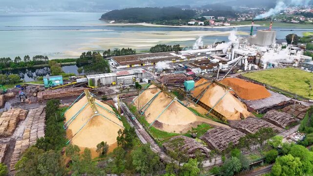 Aerial view of the Ence pulp mill industrial facility with large wood chip piles and factory buildings near the coast in Pontevedra, Pontevedra, Spain.