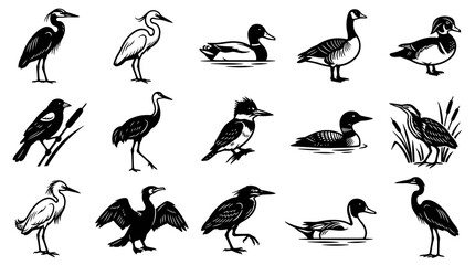 Obraz premium Wildlife Avian Birds Vector Collection: Black and White Line Art Glyphs of Waterfowl and Wading Birds