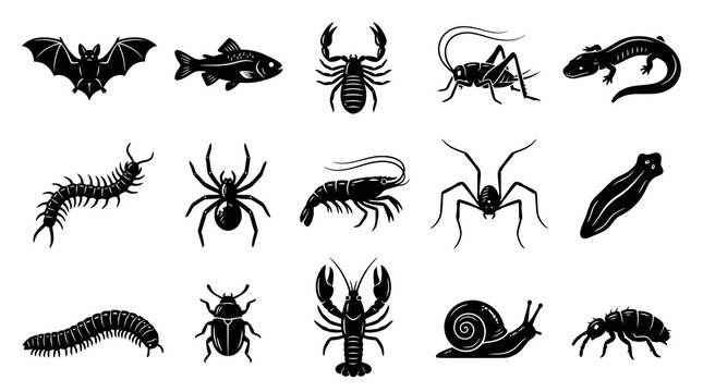 Black and White Vector Icons of Various Insects and Animals, Stock Illustration