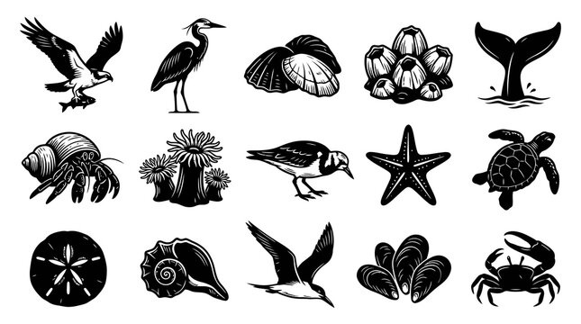 Black and White Line Art Ocean and Marine Life Creatures Set. Sea Animals, Shells, and Nautical Elements.