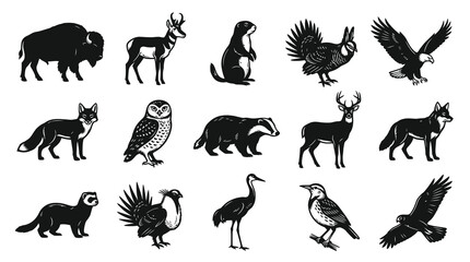 Obraz premium North American Wildlife Black White Silhouette Vector Art Collection - Mammals and Birds Icons