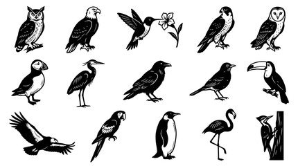 Obraz premium Black and White Line Art Collection of Diverse Birds, Animals Vector