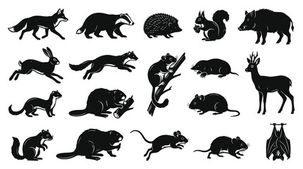 Obraz premium European Forest Mammals Black White Silhouettes Set. Wildlife Animals Glyph Icons Collection for Nature Design.