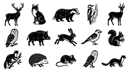 Obraz premium European Forest Wildlife Animals Black White Vintage Engraving Style Icons Set