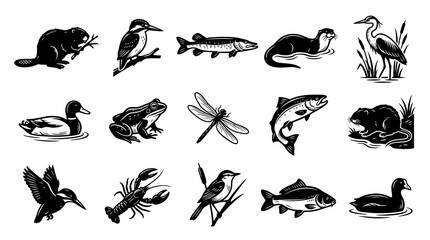 Obraz premium Aquatic and Wetland Wildlife Species Icons. Black White Glyph Vector Art Set for Nature Themes.