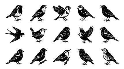 Obraz premium Black and White Line Art Illustration of Various Bird Species, Vector Stock