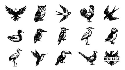 Fototapeta premium Detailed Black White Line Art Icons Set of Various Wildlife Birds for Nature Animal Kingdom Designs