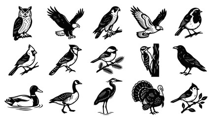Obraz premium Wildlife Birds Black and White Line Art Vector Icons Set. Nature Ornithology Glyph Illustrations Collection